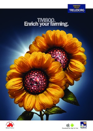 Opony rolnicze Trelleborg TM800 650/65R42 165 D (168A8)