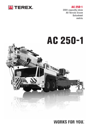 Żurawie szosowo-terenowe Terex-Demag AC 250-1 (12x8x10)