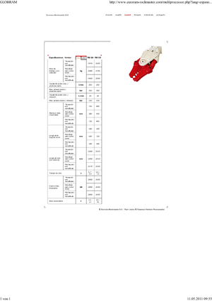 Multi-procesory Globram RM330