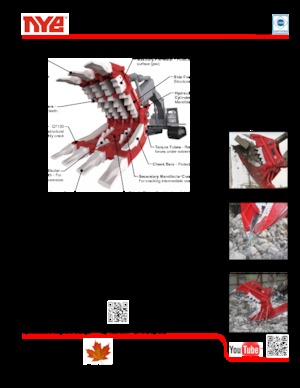 Rozdrabniacze betonu Nye TRX250