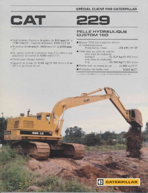 Koparki gąsienicowe Caterpillar 229