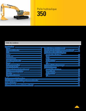 Koparki gąsienicowe Caterpillar 350