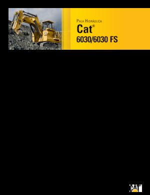 Koparki gąsienicowe Caterpillar 6030 FS