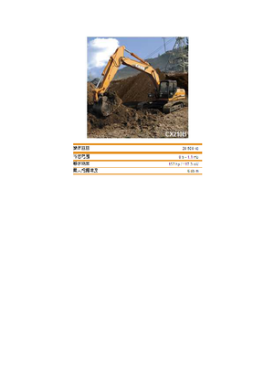 Koparki gąsienicowe Case CX 210 B LC