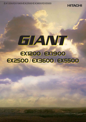 Koparki gąsienicowe Hitachi EX 5500-6