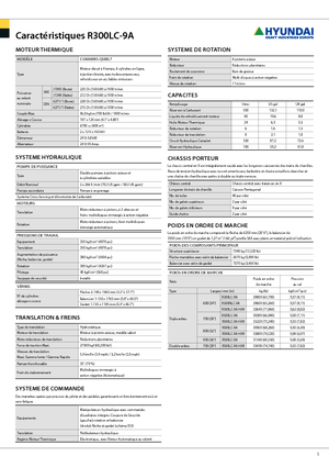 Koparki gąsienicowe Hyundai R 300 NLC-9 A