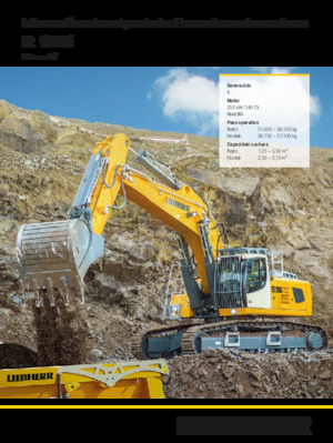 Koparki gąsienicowe Liebherr R 956 Litronic 