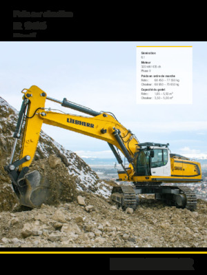 Koparki gąsienicowe Liebherr R 966 Litronic 