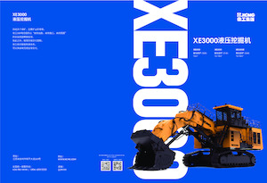 Koparki gąsienicowe XCMG XE3000