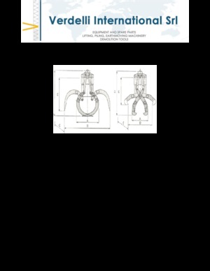 Chwytaki do sortowania i prac wyburzeniowych Verdelli F.E.E. /25