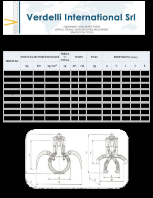 Chwytaki do sortowania i prac wyburzeniowych Verdelli F.E.E. /25