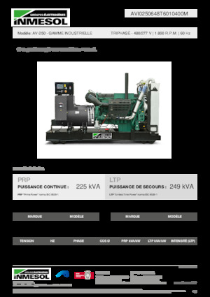 Agregaty prądotwórcze z silnikiem wysokoprężnym INMESOL AV-250