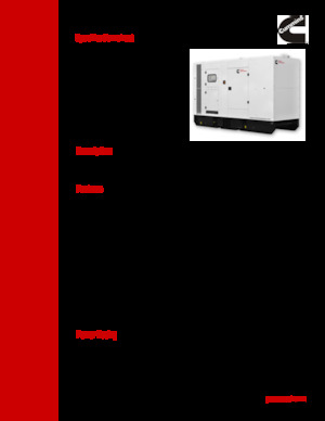 Agregaty prądotwórcze z silnikiem wysokoprężnym Cummins C300D2RE