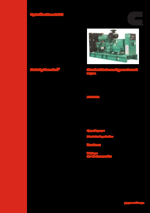 Agregaty prądotwórcze z silnikiem wysokoprężnym Cummins C380 D5