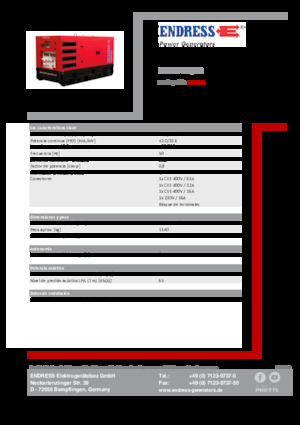 Agregaty prądotwórcze z silnikiem wysokoprężnym Endress ESE 45 YW/RS