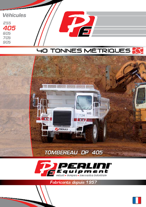 Wywrotka tylnozsypowa Perlini DP 405 WD