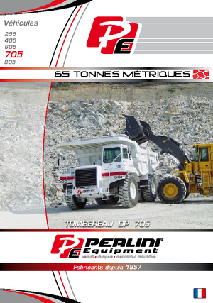 Wywrotka tylnozsypowa Perlini DP 705 WD