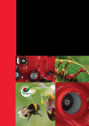 Silniki Cummins ISB4.5