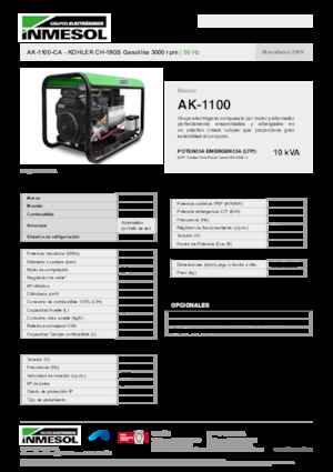 Agregaty prądotwórcze z silnikiem spalinowym INMESOL AK-1100-CA