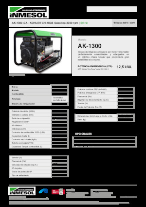 Agregaty prądotwórcze z silnikiem spalinowym INMESOL AK-1300-CA