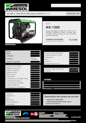 Agregaty prądotwórcze z silnikiem spalinowym INMESOL AK-1300-E