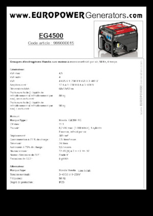 Agregaty prądotwórcze z silnikiem spalinowym Europower EG4500