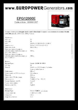 Agregaty prądotwórcze z silnikiem spalinowym Europower EPG12000E (S)