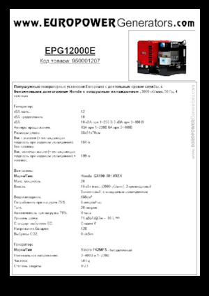 Agregaty prądotwórcze z silnikiem spalinowym Europower EPG12000E (S)