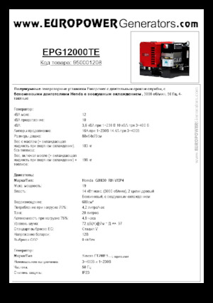 Agregaty prądotwórcze z silnikiem spalinowym Europower EPG12000TE (S)