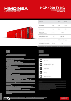 Agregaty prądotwórcze z silnikiem spalinowym HIMOINSA HGP-1000 T5 NG