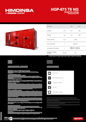 Agregaty prądotwórcze z silnikiem spalinowym HIMOINSA HGP-675 T6 NG