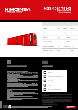 Agregaty prądotwórcze z silnikiem spalinowym HIMOINSA HGS-1010 T5 NG