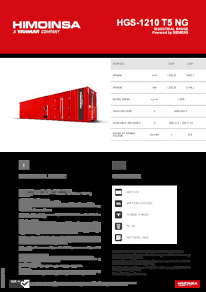 Agregaty prądotwórcze z silnikiem spalinowym HIMOINSA HGS-1210 T5 NG