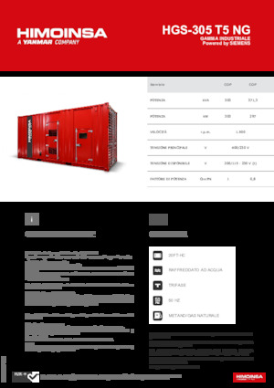 Agregaty prądotwórcze z silnikiem spalinowym HIMOINSA HGS-305 T5 NG
