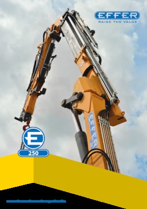 Hydrauliczne żurawie do załadunku Effer 250 3S