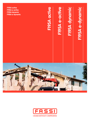Hydrauliczne żurawie do załadunku Fassi F 195 AC 2.24 dynamic