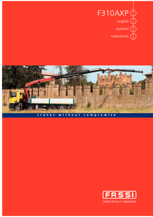 Hydrauliczne żurawie do załadunku Fassi F 310 AXP 22