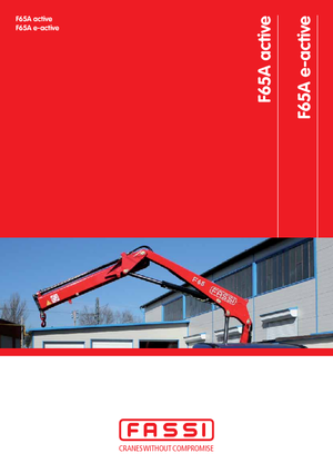 Hydrauliczne żurawie do załadunku Fassi F 65 A 0.22 e-active