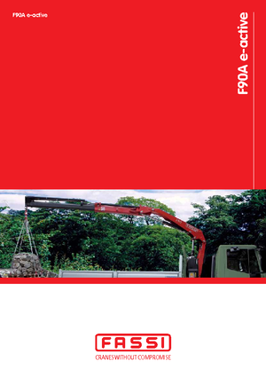 Hydrauliczne żurawie do załadunku Fassi F 90 AC 0.22 e-active