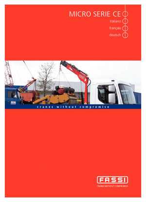 Hydrauliczne żurawie do załadunku Fassi M 30 A 13 Teleskop