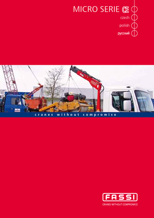 Hydrauliczne żurawie do załadunku Fassi M 30 A 13 Teleskop