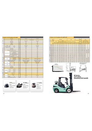 Wózki widłowe LPG Maximal FGL 30 T-M2WA3
