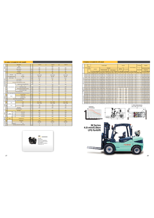 Wózki widłowe LPG Maximal FL 50 T-M1WE3