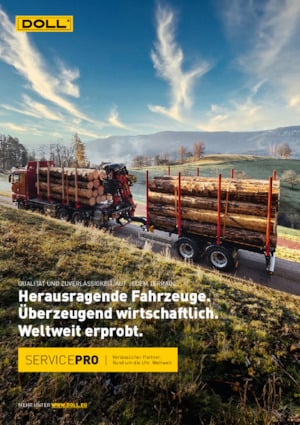 Przyczepy niskopodwoziowe Doll LOGO 14