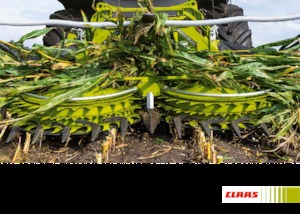 Heder do zbioru kukurydzy Claas Orbis 900