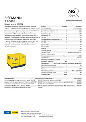 Agregaty prądotwórcze z silnikiem spalinowym Eisemann T 9000 E