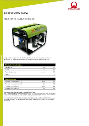 Agregaty prądotwórcze z silnikiem spalinowym PRAMAC Lifter ES 5000