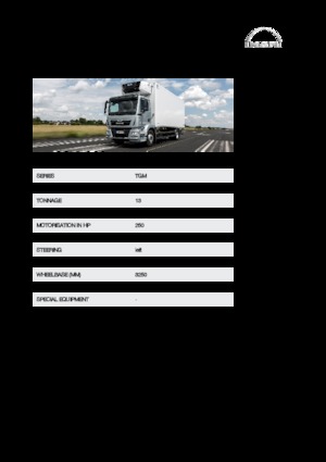 Ciągniki siodłowe ze sztywnym podwoziem MAN TGM 13.250 4x4