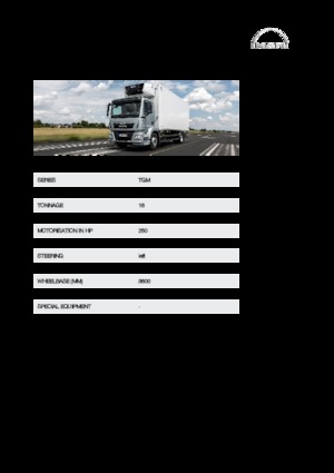 Ciągniki siodłowe ze sztywnym podwoziem MAN TGM 18.250 4x4