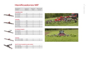 Przetrząsacze karuzelowe Massey Ferguson TD776X DN